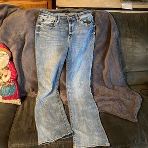 Judy Blue Bootcut Jeans